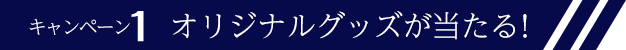 キャンペーン1 オリジナルグッズが当たる!