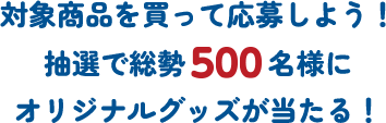 対象商品を買って応募しよう！抽選で総勢500名様にオリジナルグッズが当たる！