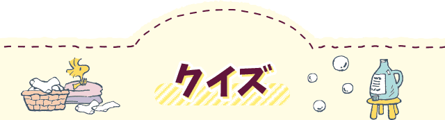 クイズ