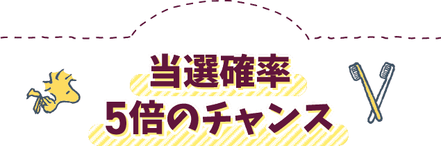 当選確率5倍のチャンス