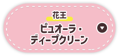 ピュオーラ・ ディープクリーン
