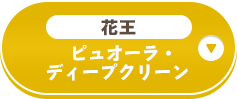 花王 ピュオーラ・ディープクリーン