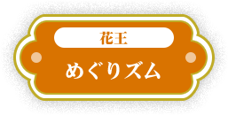 花王 めぐりズム